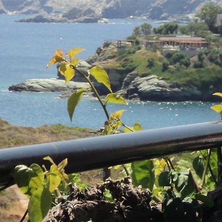 Evita Bay Agia Pelagia Heraklion Номер фото