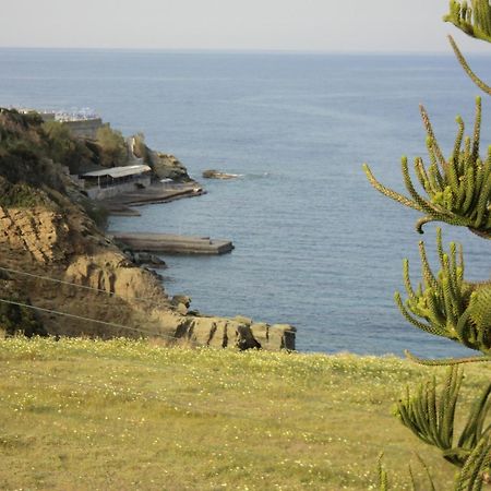 Evita Bay Agia Pelagia Heraklion Номер фото